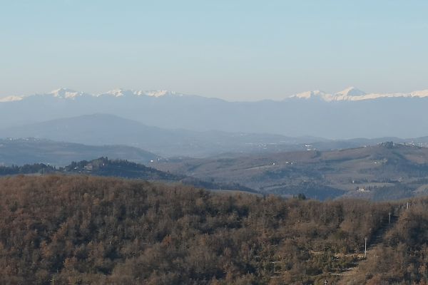 Villa Sant'Uberto Country Inn (Radda in Chianti)